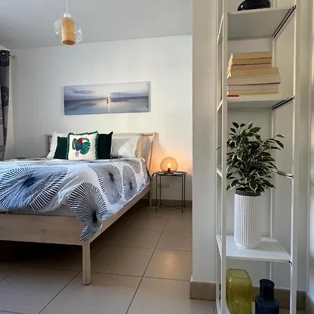 Gokotta, Splendide T3 Classe 3 Etoiles, Vue Unique, Piscine, Garage アパート セット